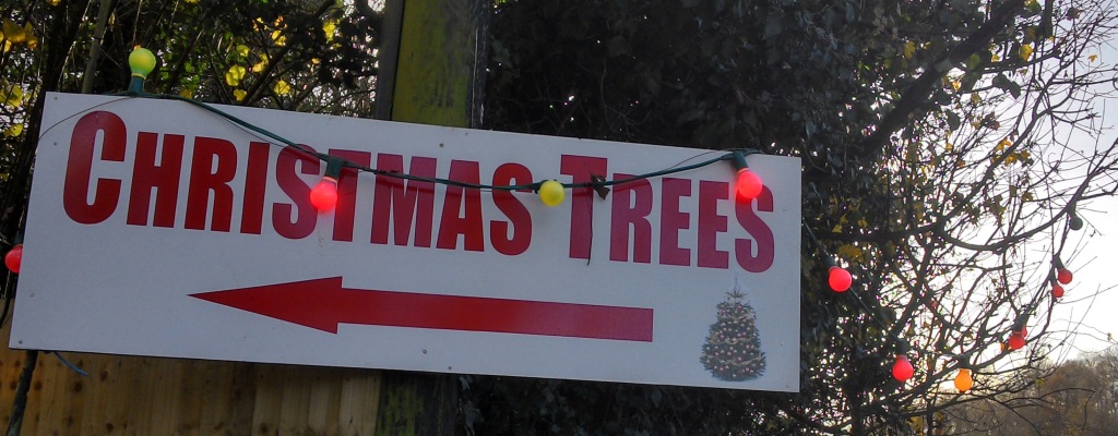 Christmas Trees sign