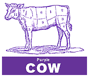 Purple Cow cover