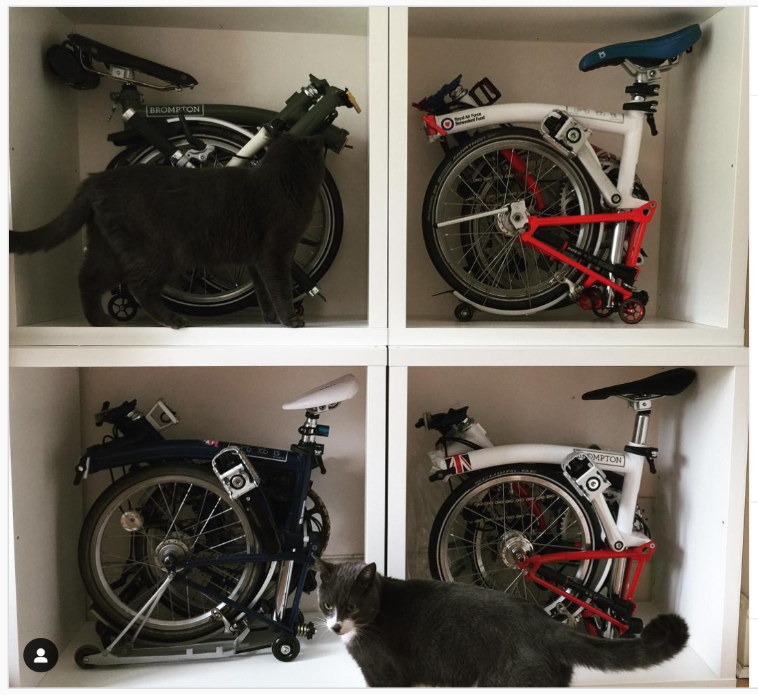 Bike Gang on Instagram_ “My #brompton wall. IKEA Kallax